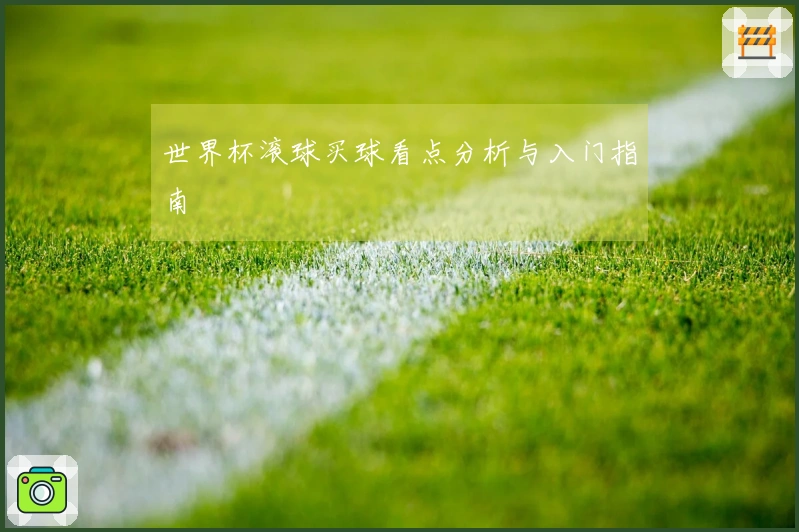 世界杯滚球买球看点分析与入门指南