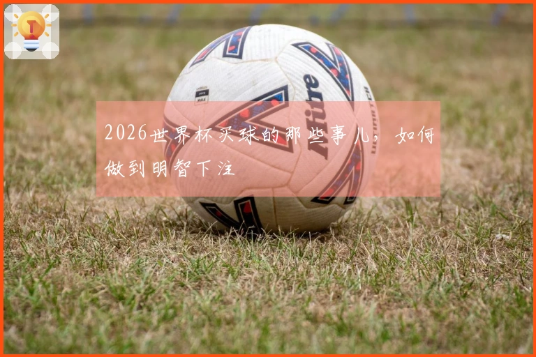 2026世界杯买球的那些事儿，如何做到明智下注