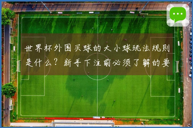 世界杯外围买球的大小球玩法规则是什么？新手下注前必须了解的要点有哪些？