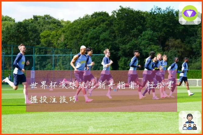 世界杯滚球玩法新手指南，轻松掌握投注技巧