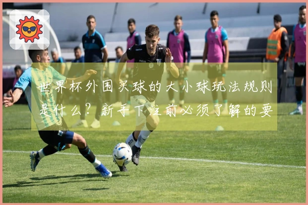 世界杯外围买球的大小球玩法规则是什么？新手下注前必须了解的要点有哪些？